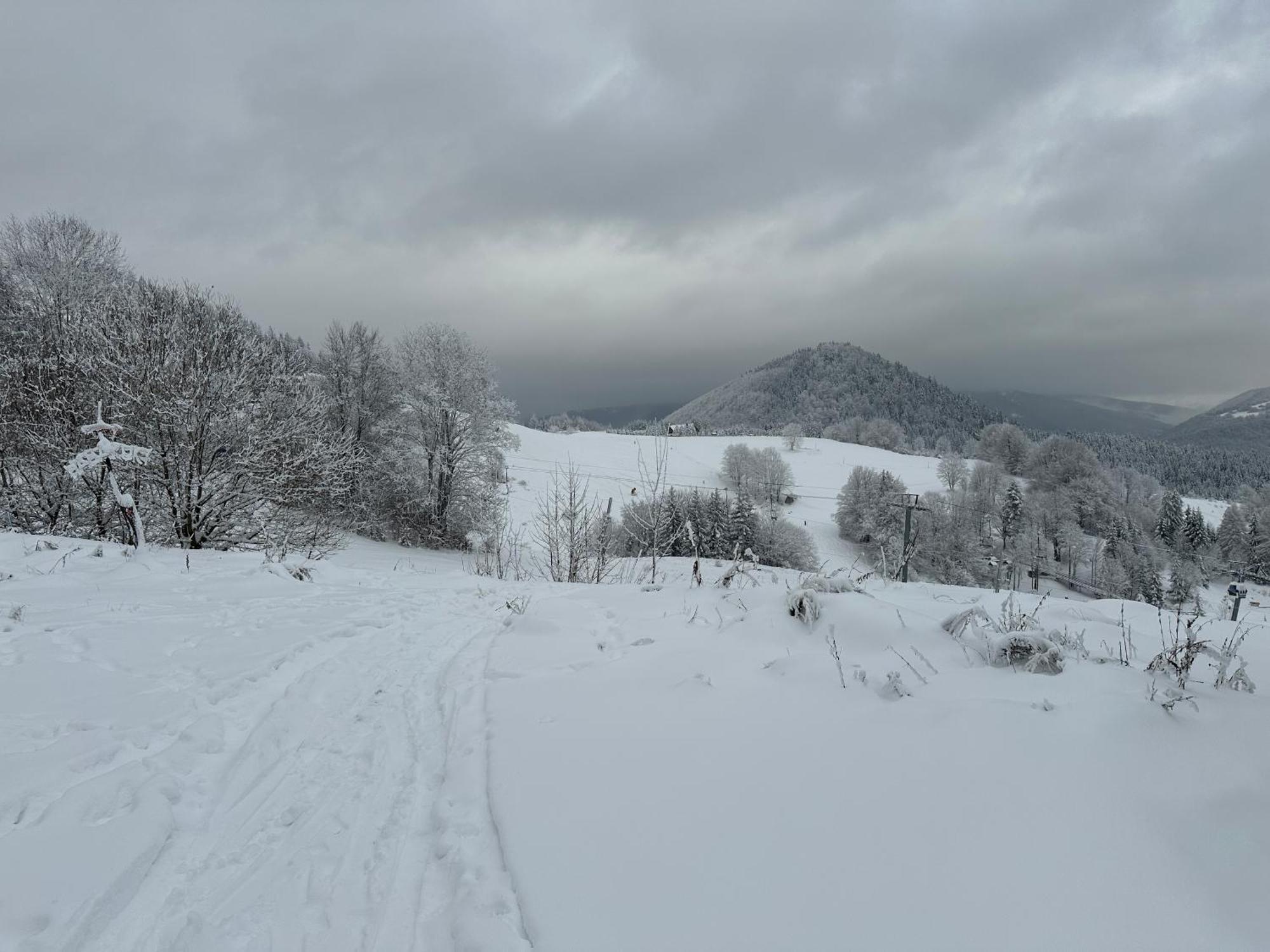 Apartman Forest View Donovaly Dış mekan fotoğraf